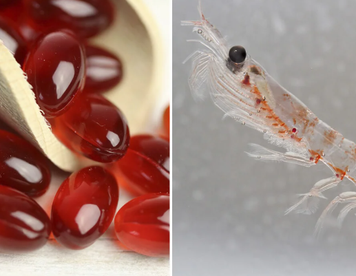 Aceite de Krill